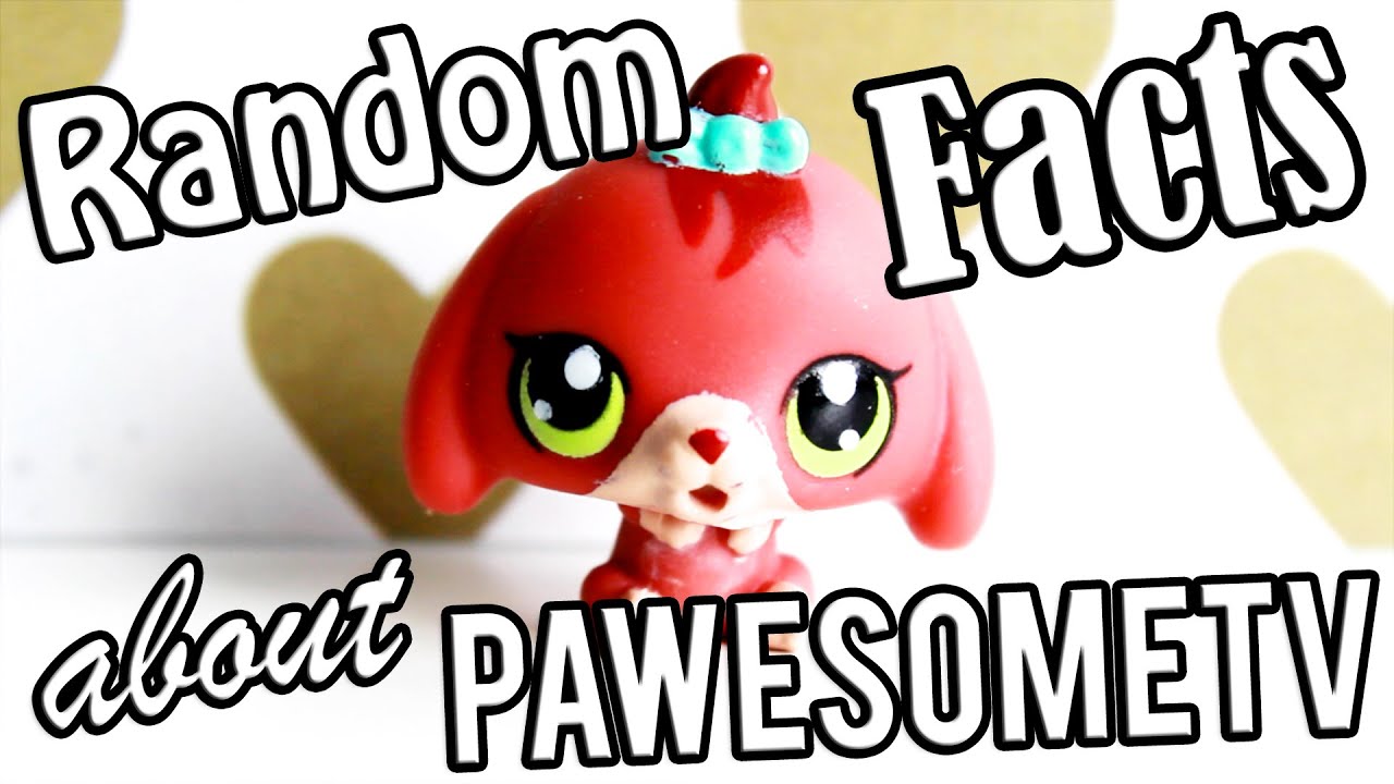LPS - Random Facts about PawesomeTV - YouTube