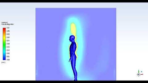 Velocity contours, CFD simulation (RANS, steady-state) of the heat generated by a standing subject