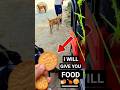 I will feed you today 🍞🐕 Poor dog was hungry #adoptstrays #rescuedog #dogfeeding