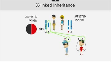 Day 3 2   Introduction to Genome Analysis