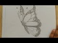 How to draw a beautiful butterfly step by step drawing so easypencilsketching