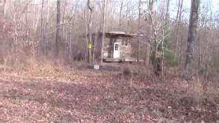 Cool Little Cabin