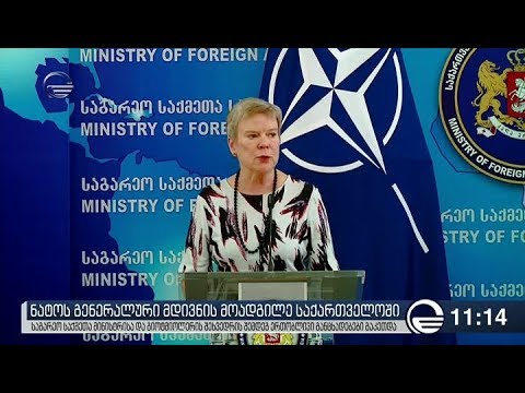 ნატოს გენერალური მდივნის მოადგილე საქართველოშია