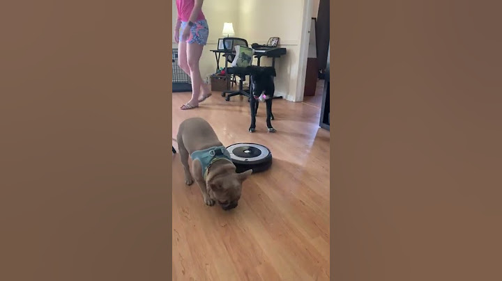 Dog Vomit Gets Instantly Scooped Up by Robot || ViralHog