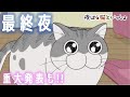 アニメ『夜は猫といっしょ』第30夜「何かを見つめるネコ」