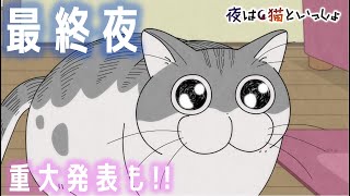 アニメ『夜は猫といっしょ』第30夜「何かを見つめるネコ」