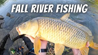 Catching 50 lbs of Fish in One Hour (Multi-Species Fall River Fishing)