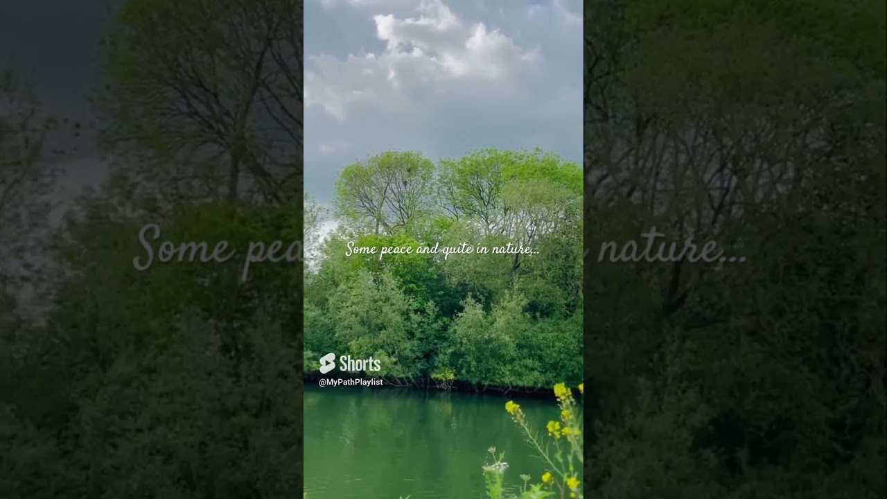 Relaxing British Nature: Soothing River Thames & Serene Green Landscapes 🌿