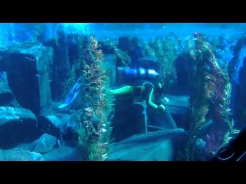 Finding Nemo at Disneyland..😄
