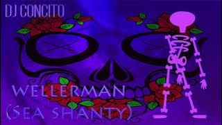 Nathan Evans - Wellerman Sea Shanty (DJ Concito Remix)