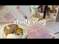 Study vlog final exams week  ipad notes trying to romanticise studying  too many flashcards