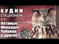 Будни стационара 06.03.2022