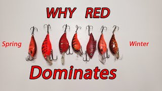 Why does the color Red dominate for Bass Fishing late Winter, Early Spring