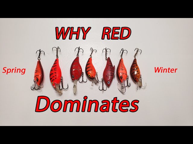 Why does the color Red dominate for Bass Fishing late Winter, Early Spring  