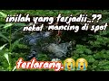 BELAJAR MANCING IKAN SEPAT, NIKMATNYA BIKIN KETAGIHAN,😢😢
