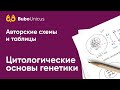 Цитологические основы генетики | БИОЛОГИЯ ЕГЭ | Лина Клевер