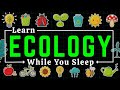 Ecology for Sleep: Environmental Systems