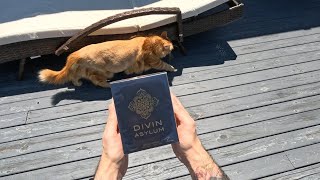 Divin asylum by perfume world (roja dove alysium dupe)