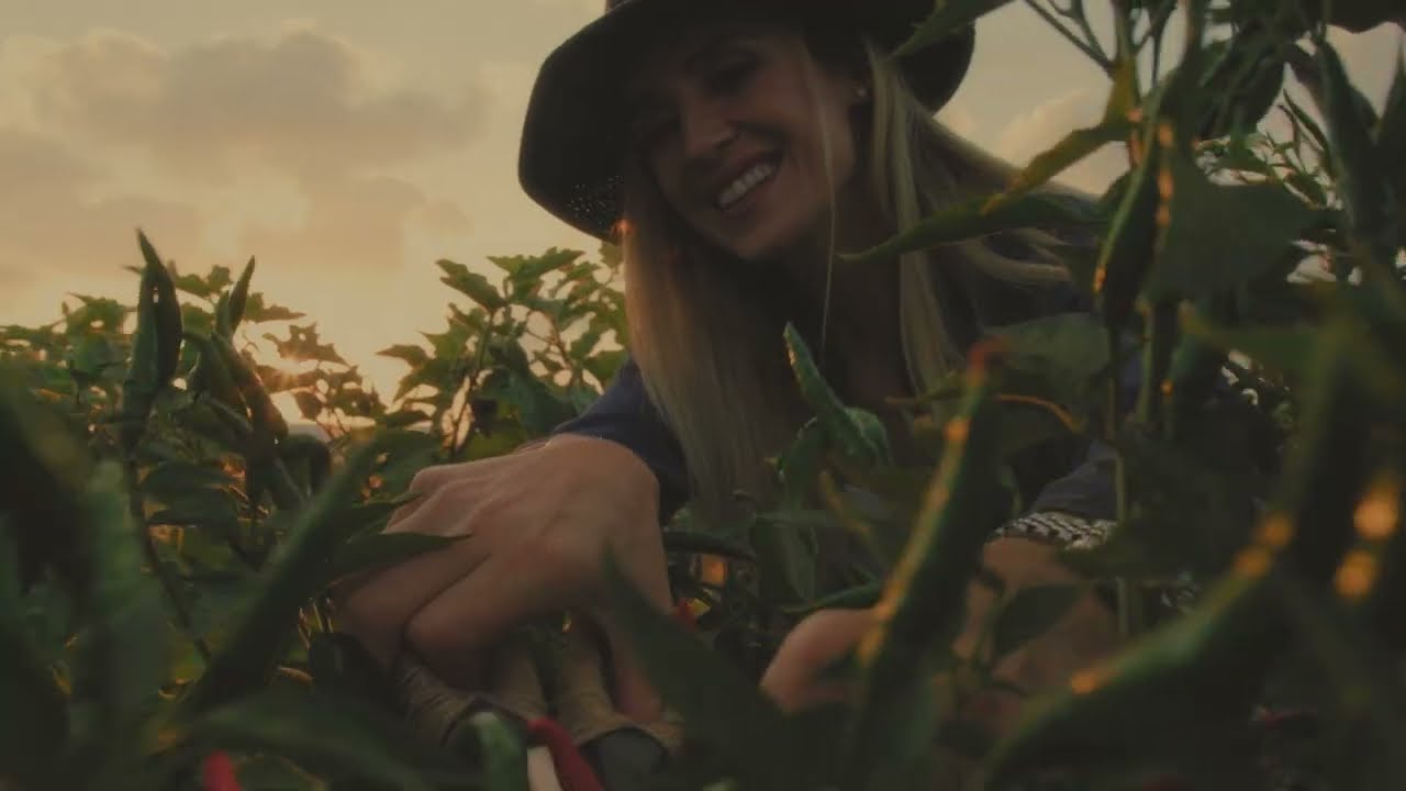 Earthfood Life: The All-Natural Soil Conditioner