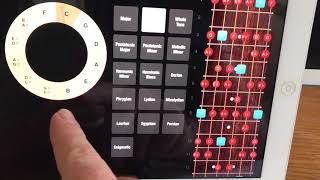 Acordes y Escalas para Guitarra app ChordBank Guitar app screenshot 2