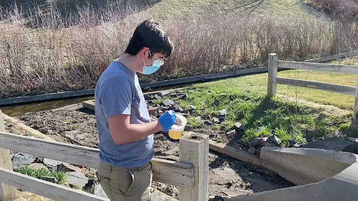 Fence Post Rot Repair
