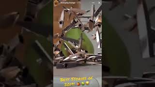 Pear Vs. 100,000 Kazoos Pester Pear