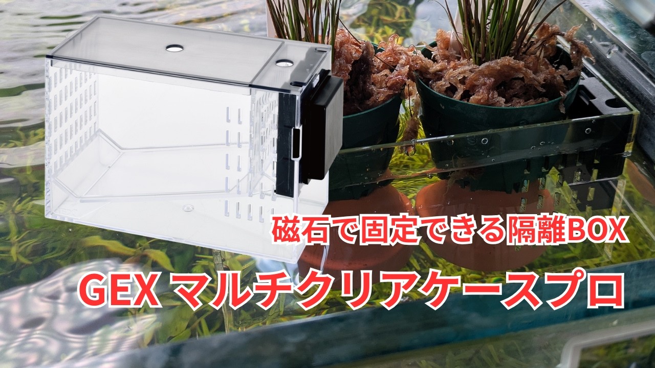 Introducing the GEX Multi Clear Case Pro: A Versatile Isolation
