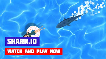 Shark.io · Game · Gameplay