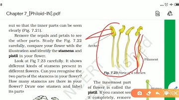 CLASS 6   SCIENCE. CHAPTER 7 [NCERT] (Explained in hindi) CBSE | UPSC|Getting to know Plants|part 2.