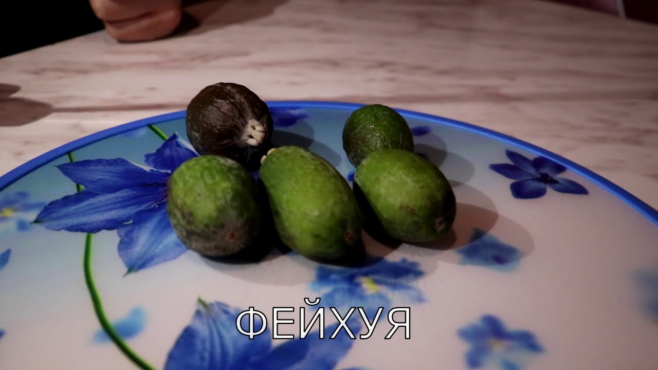 Фейхуя! Можно есть ли эту ягоду? Пробуем! - YouTube