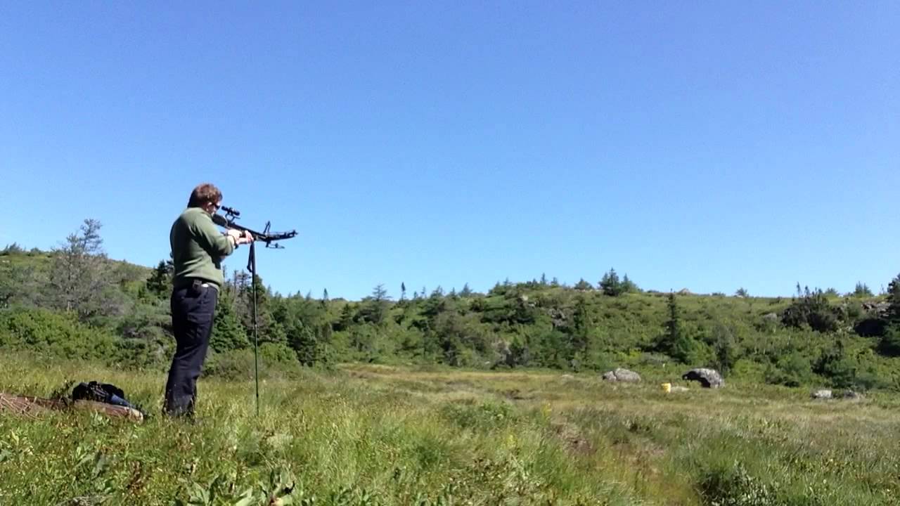 Crossbow target practice with my Quad 300 YouTube