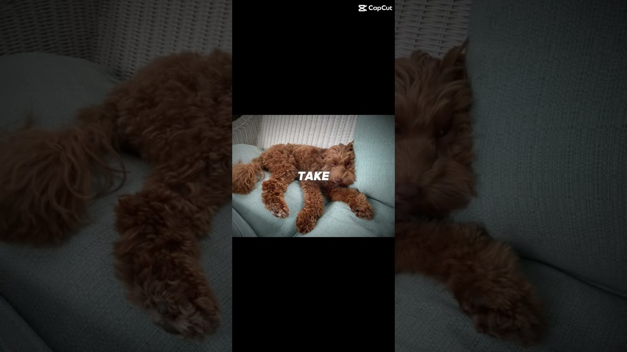 All you have to do is….