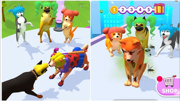 Groomer run 3D All Levels Gameplay Android , ios