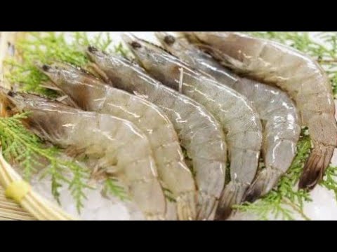 udang-untuk-bayi---bayi-alergi-udang---bubur-udang-buat-bayi---resep-udang-buat-bayi