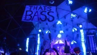 Video thumbnail of "Free Bird by Lynyrd Skynyrd (TERRAVITA remix) - SHAMBHALA 2014"