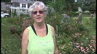 Pete Grigsby News Brief - Bssd Tv