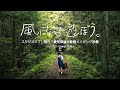 スタジオジブリ×愛知県観光動画を制作しました｜メイキング映像 | ジブリパーク