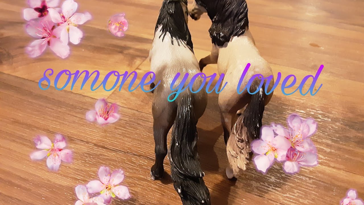 somone you loved 😍❤ schleich music video