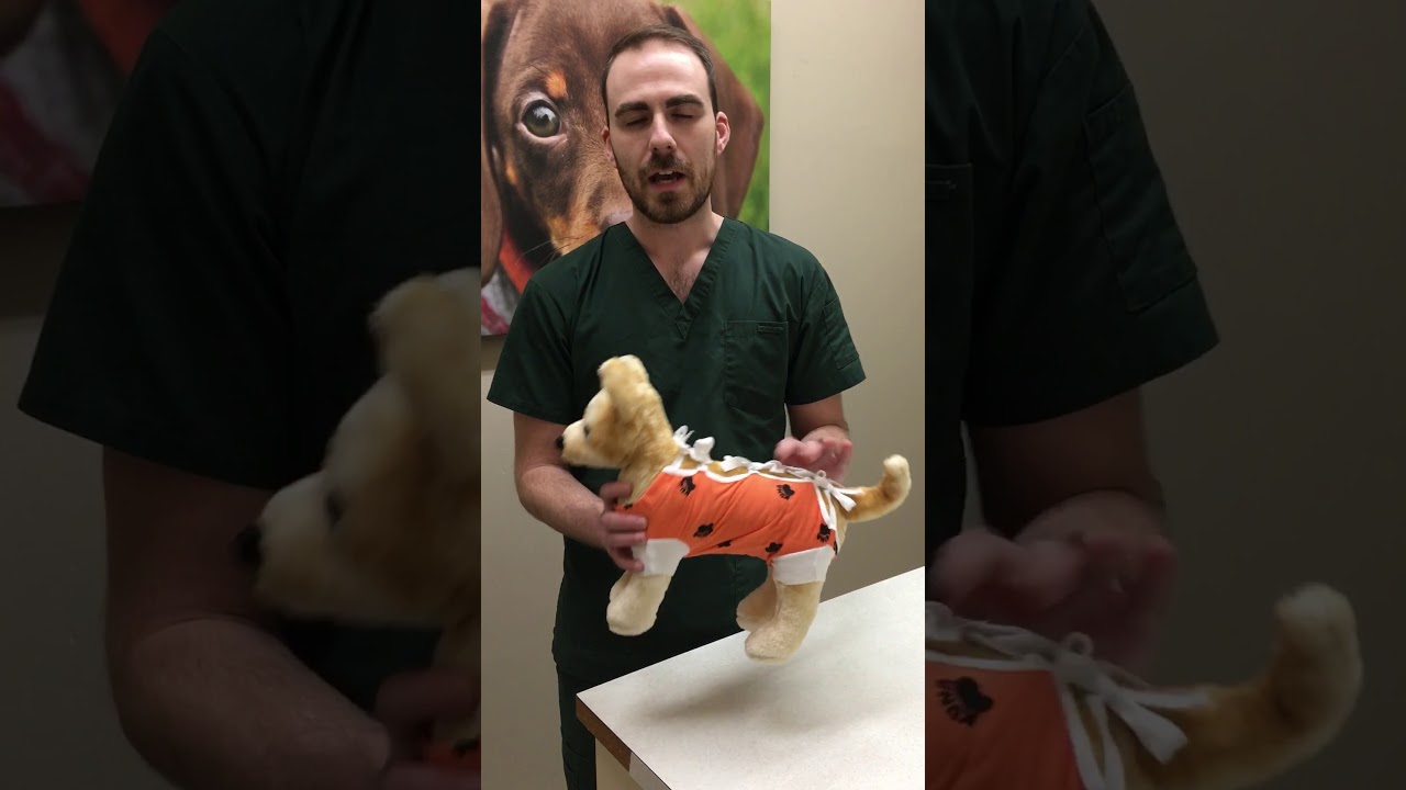 How to adjust the After Surgery Wear