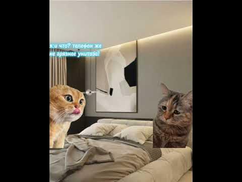 мама плохого не посоветует 😁 - YouTube
