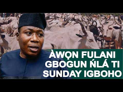 IJA SUNDAY IGBOHO ATAWỌN FULANI GBỌNA MI-IN YỌ! WỌN LAWỌN YOO MU IGBOHO, IGBOHO NI WỌN O TO BẸẸ!