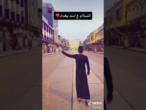 شلون البس الكمام متعني الأسد بغداد