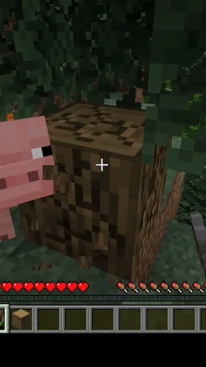 Майнкрафт но я передвигаюсь только спомощю свиньи #minecraft - YouTube