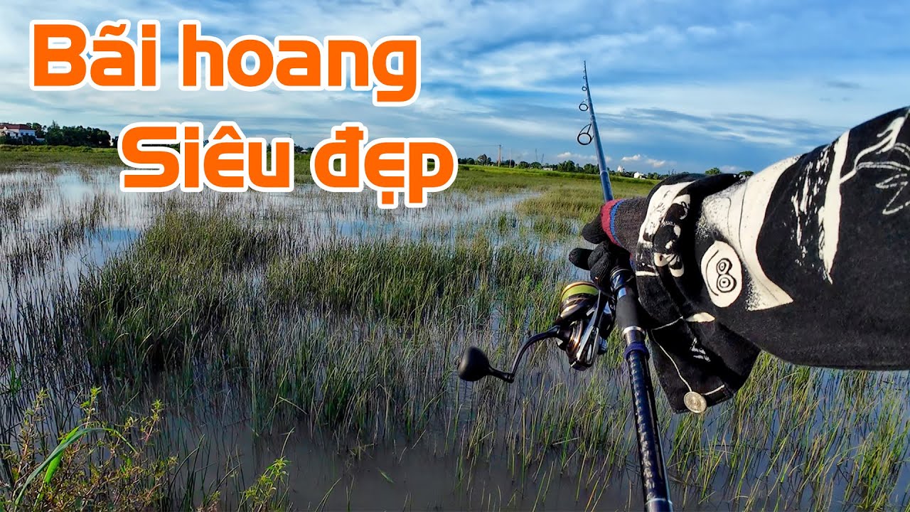 Tìm được bãi năng hoang rất nhiều cá | THÚ VUI MIỀN TÂY. 29