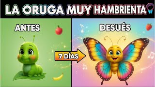 La Oruga Muy Hambrienta Cuento Infantil Educativo