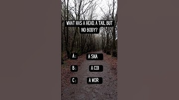 A Head and a Tail, but No Body? Guess the Answer! 🪙🤔