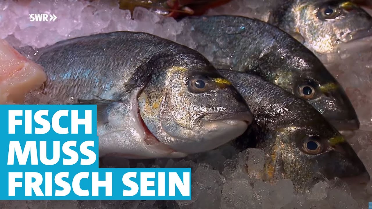 Der LEGENDÄRE DRACHEN-MONSTER-FISCH greift an?! - Feed and Grow Fish