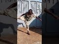 Ngumi Kwa Ngumi 