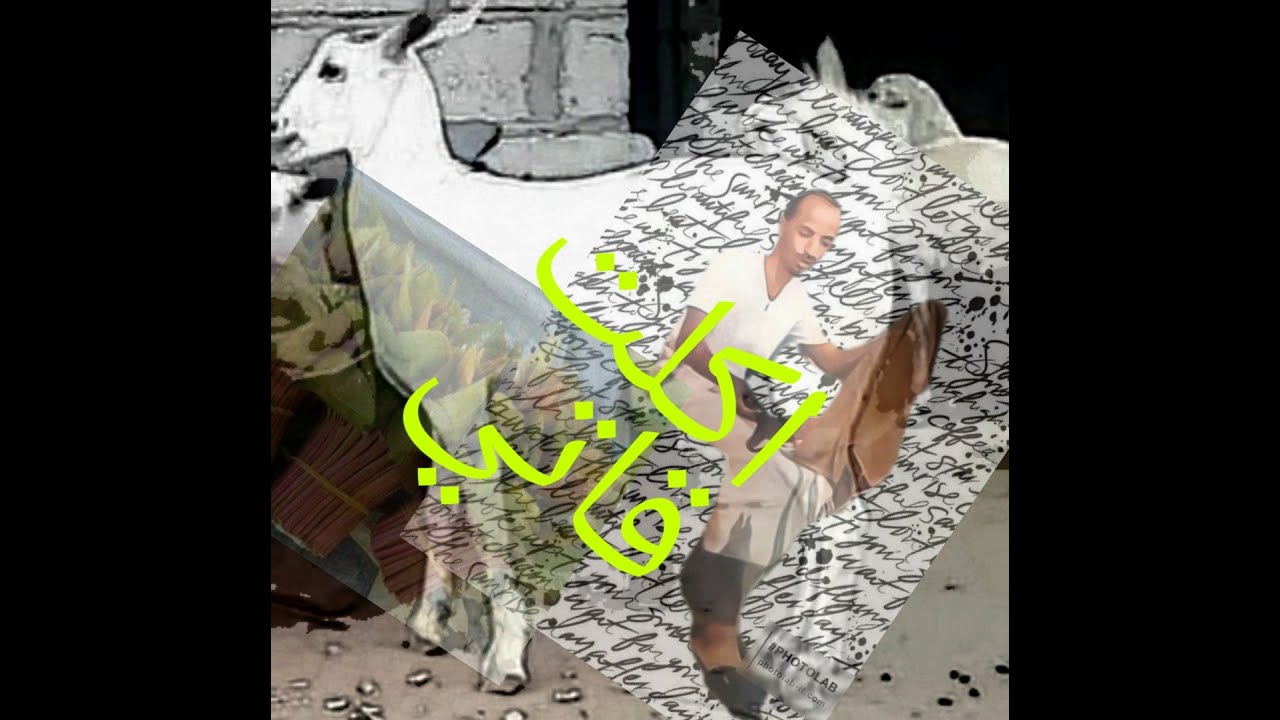 الماعز اكلت القات حقه وهجاها بشعر شوف ويش كان ردها 🤣🤣🤣