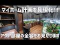 新居全体を大公開!アクアリウム部屋へご案内します。#810【アクアリウム】